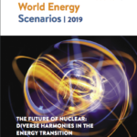 The Future of Nuclear: Diverse harmonies in energy transition 